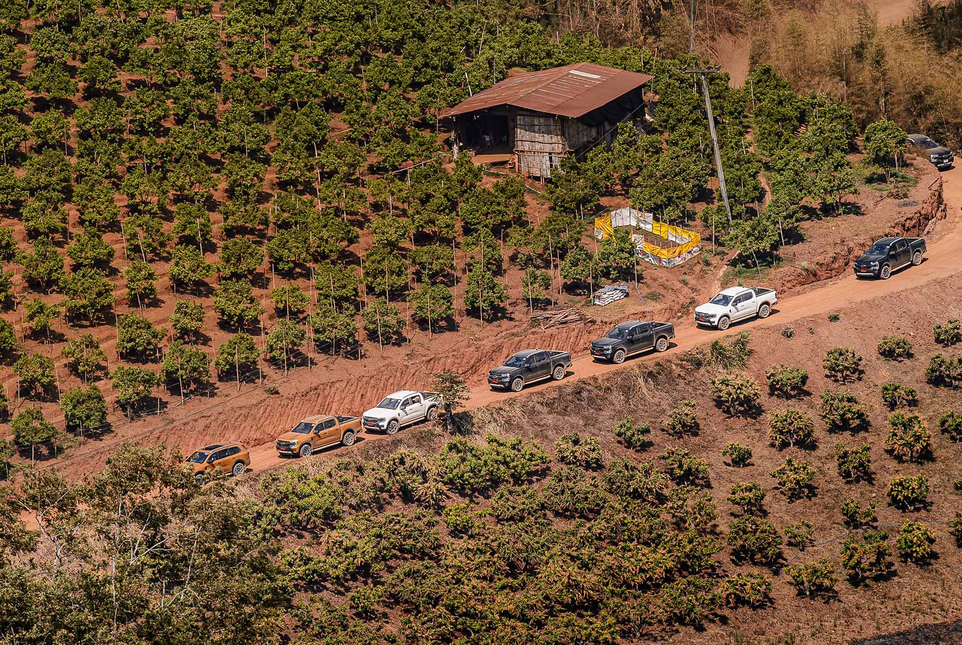 ภาพคันจริง Ford Ranger Wildtrak - carwizard
